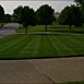 Lawn Maintenance & Care